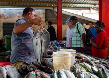 Seychelles Marché de Mahé, Seychelles