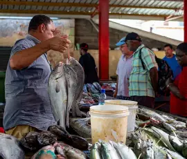 Marché de Mahé, Seychelles
