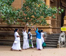 Temple, Sri lanka