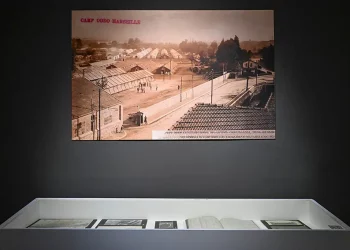 Restauration de photographies historiques du début du XXᵉ siècle et adaptation pour l’impression grand format.